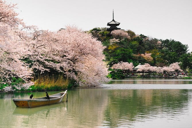 Yokohama Highlights and Hidden Gems Tour With a Local (4 Hours) - Customer Reviews and Feedback