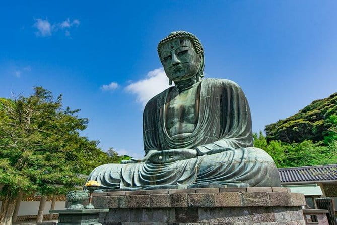 Yokohama / Kamakura 6hr Private Trip Government-Licensed Guide - Key Points