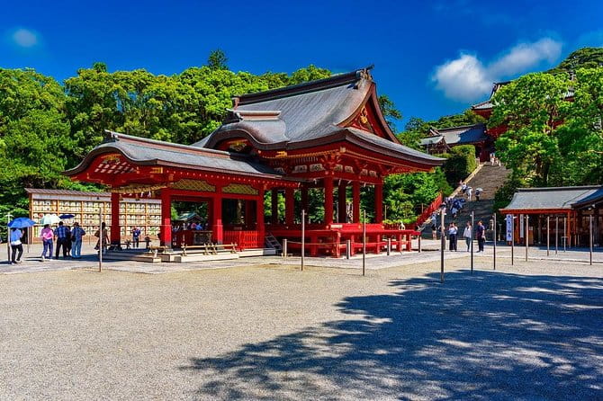 Yokohama / Kamakura 6hr Private Trip Government-Licensed Guide - Accessibility and Additional Information