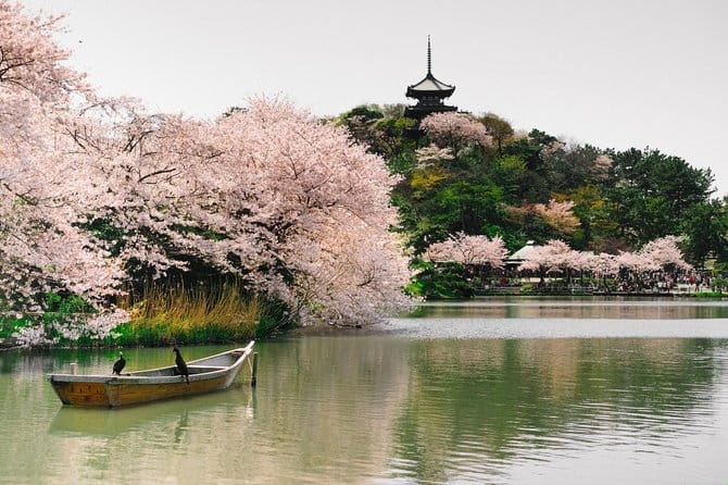 Yokohama Private Customizable Half Day Tour - Cancellation Policies and Fees