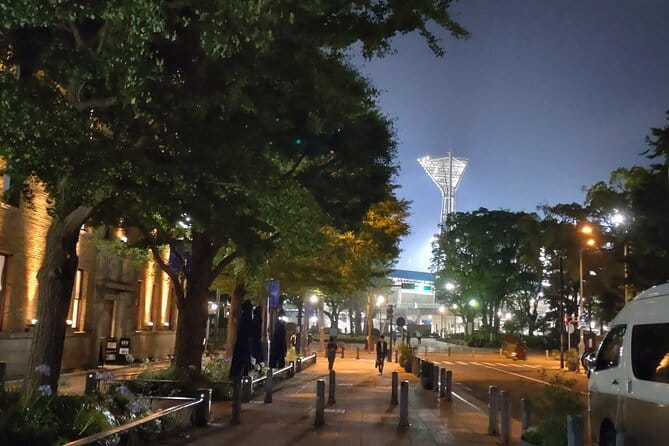 Yokohama Private Tour -Night View- - Tips for Your Night Tour in Yokohama
