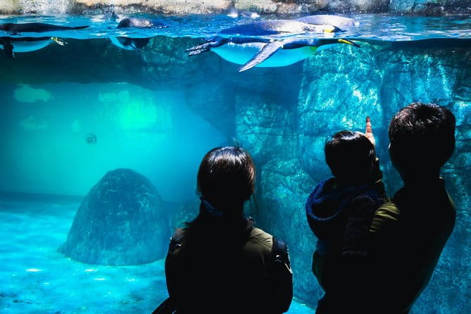 Yokohama Private Tours With Locals: 100% Personalized, See the City Unscripted - Meeting Point and Accessibility