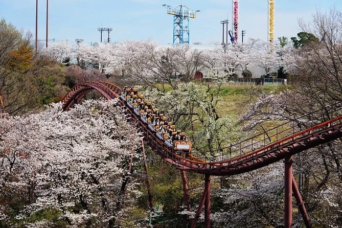 Yomiuriland Express One Day Pass in Tokyo - Tips for a Great Experience