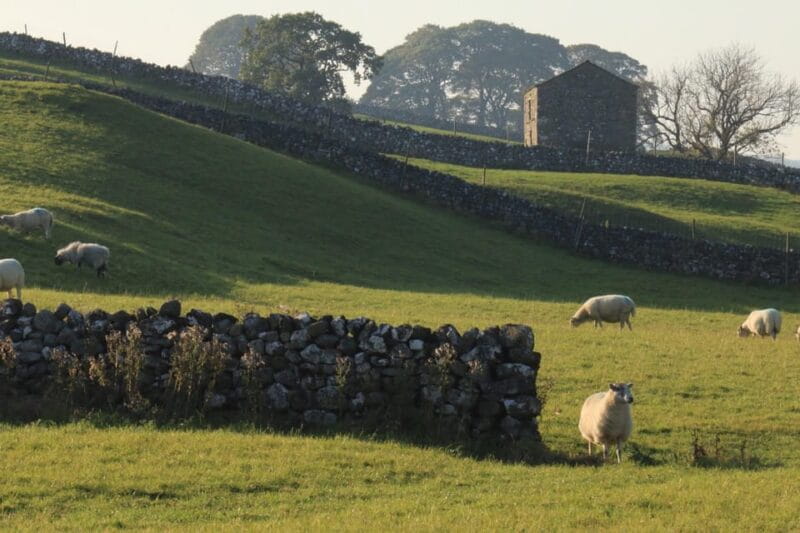 York: "All Creatures Great and Small" Yorkshire Dales Tour - Final Thoughts and Key Points