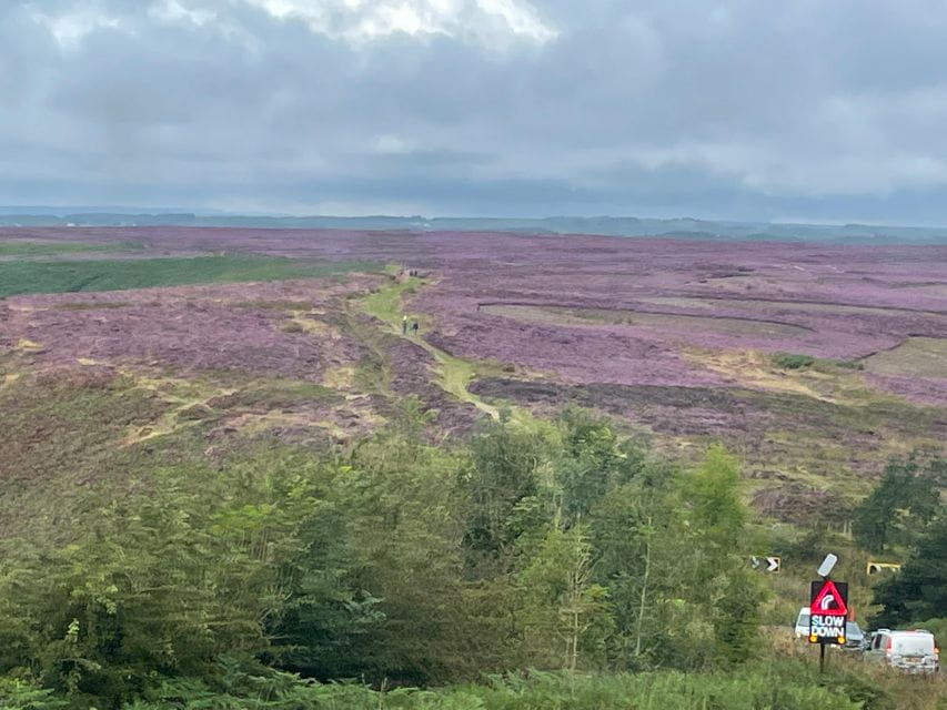York: City Chronicles Historical Walking Tour - Spiritual Sanctuary at St Cuthberts