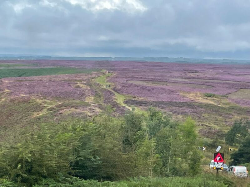 York: J&Ms City Sightseeing and History Tour - Practical Tips for a Great Experience