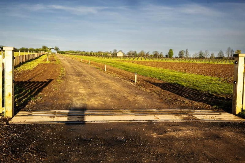 Yorkshire: Loversall Vineyard Wine Tasting and Tour - Who Should Consider This Tour?