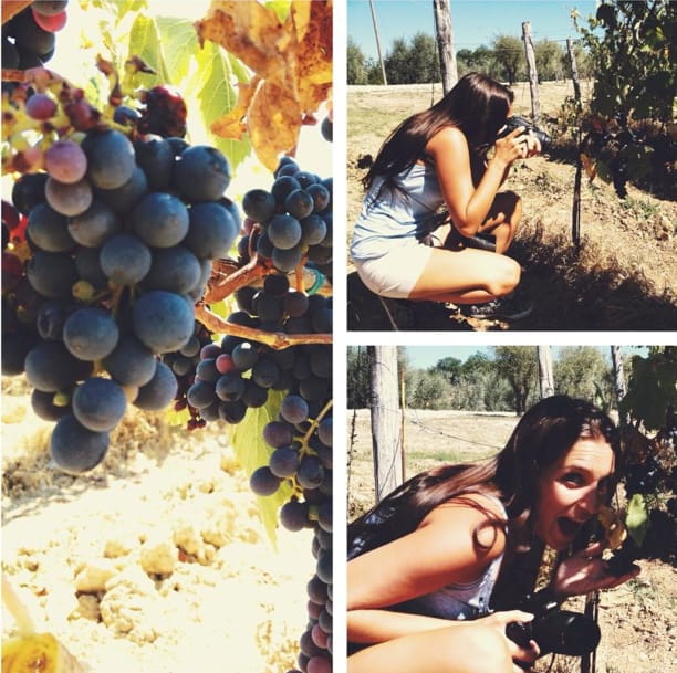 YOUR HONEYMOON IN TUSCANY: Private Chianti Wine Tasting Tour - Wine Tasting: A Deep Dive into Chianti’s Best