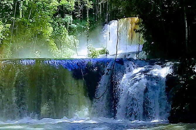 YS Falls & Pelican Bar Tour - Tour Highlights