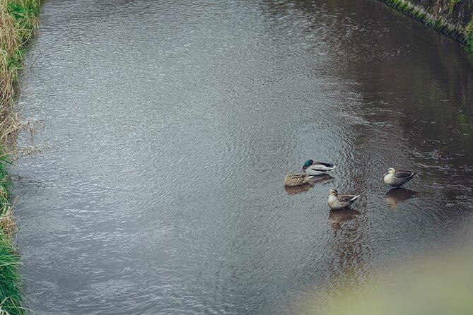Yufuin Onsen Private Guided Walking Tour - Taking in the Local Culture
