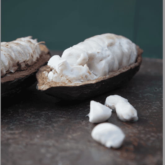 Zaandijk: Chocolate making demonstration & tasting - Introduction: A Tasty Peek Into Chocolate Making in Zaandijk