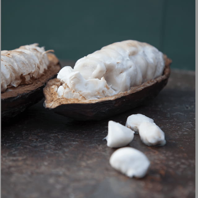 Zaandijk: Chocolate making demonstration & tasting - Key points / Takeaways