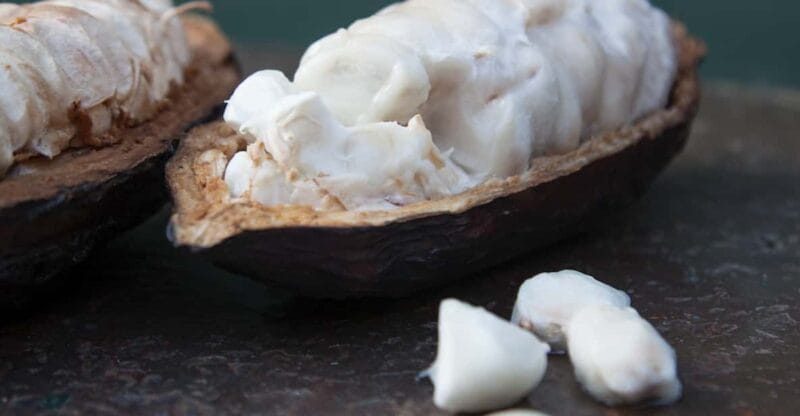 Zaandijk: Chocolate making demonstration & tasting - FAQs about Zaandijk’s Chocolate Making Demonstration