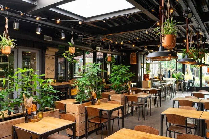 Zaanse Schans: Brewery HOOP Tour and Tasting - Key Points / Takeaways