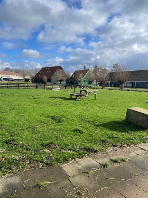 Zaanse Schans: Half-Day Private Guided Tour - The Sum Up