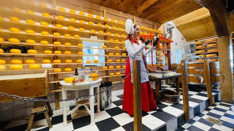 Zaanse Schans, Windmill house, Volendam,Marken Private Tour - Overall Experience and Practicalities