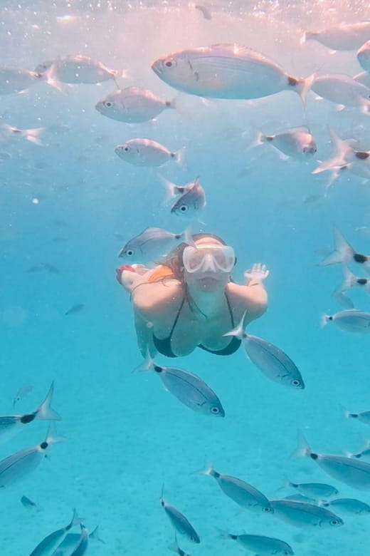 Zadar: 3-Island Speedboat Tour with Snorkeling and Drinks - Entering Zadar’s Island-Exploration Wonderland