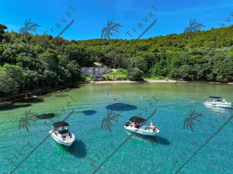 Zadar: 3-Stop Blue Lagoon & Snorkeling Cruise with Drinks - The Return and Overall Value