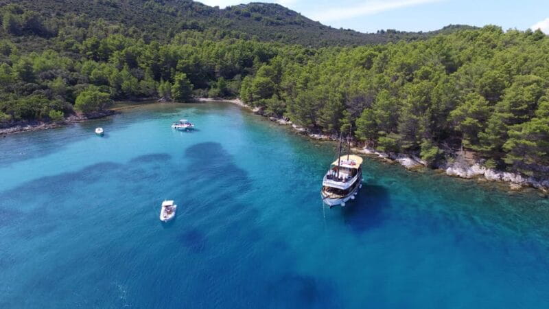 Zadar: Fun Swim and Snorkel Short Day Trip - Who Is This Tour Perfect For?