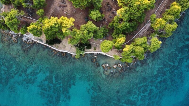 Zadar: Guided Tour to Ugljan, Osljak, & Galevac by Speedboat - The Itinerary in Detail: What You’ll Experience