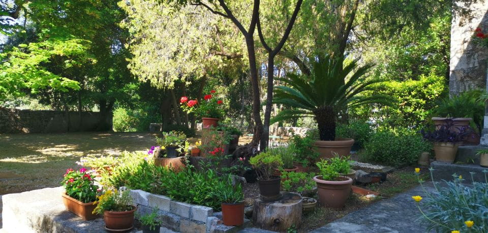 Zadar: Guided Tour to Ugljan, Osljak & Galevac by Speedboat - Meeting Point and Availability