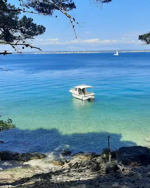 Zadar: Half-Day Island-Hopping and Lagoons Cruise with Fruit - Who This Tour Is Perfect For