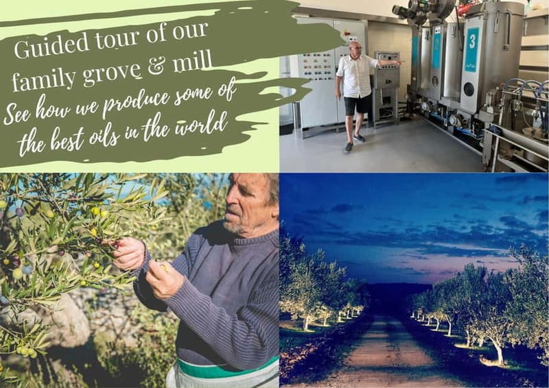 Zadar, ibenik: Olive Mill Tour, Tasting, Self Drive - Tasting Local Dalmatian Bites