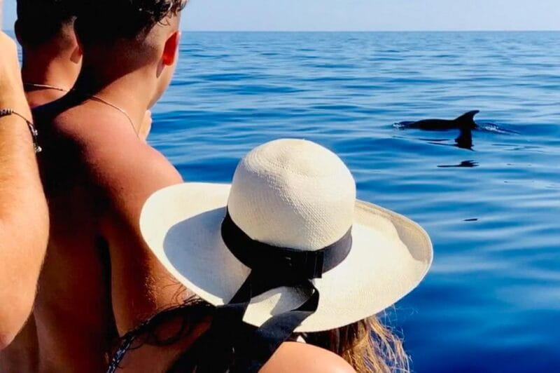 Zadar: Island-Hopping, Swimming & Snorkeling SpeedBoat Tour - Who Will Love This Tour?