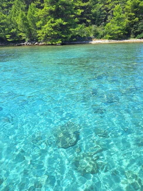 Zadar: Islands & Lagoons Tour with Drinks and ECO fruits... - Key Points and Takeaways