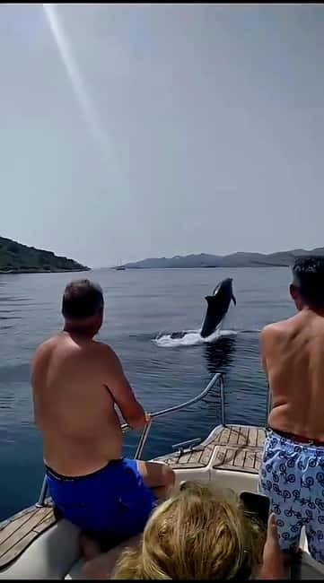 Zadar: Islands & Lagoons Tour with Drinks and ECO fruits... - Why This Tour Is a Great Choice