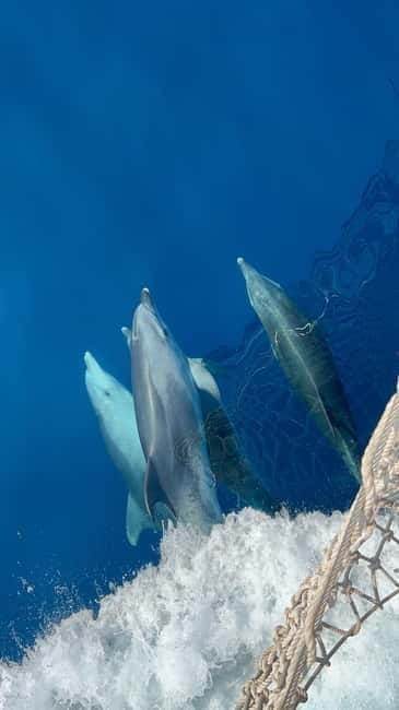 Zadar: Kornati National Park & cliffs of Telascica - Who Will Love This Tour?