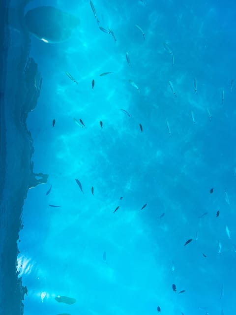 Zadar: Kornati National Park & cliffs of Telascica - FAQ