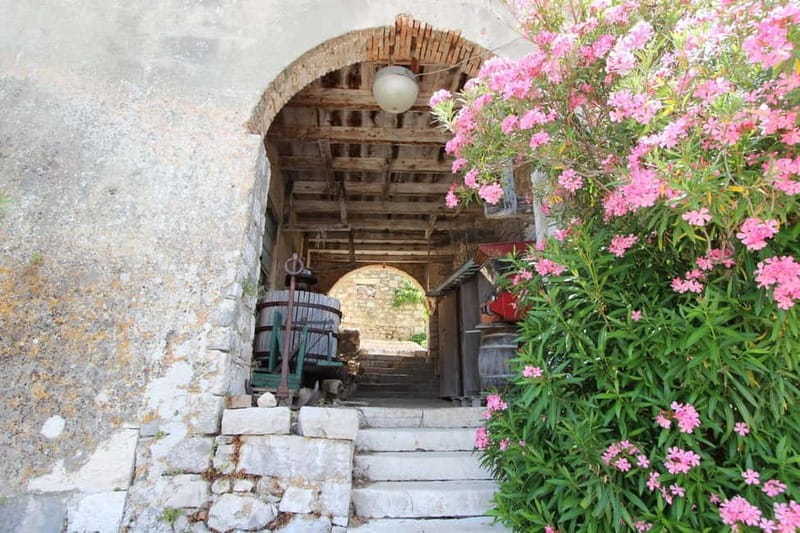 Zadar: Private SpeedBoat Tour to Islands - Drinks Included - The Sum Up