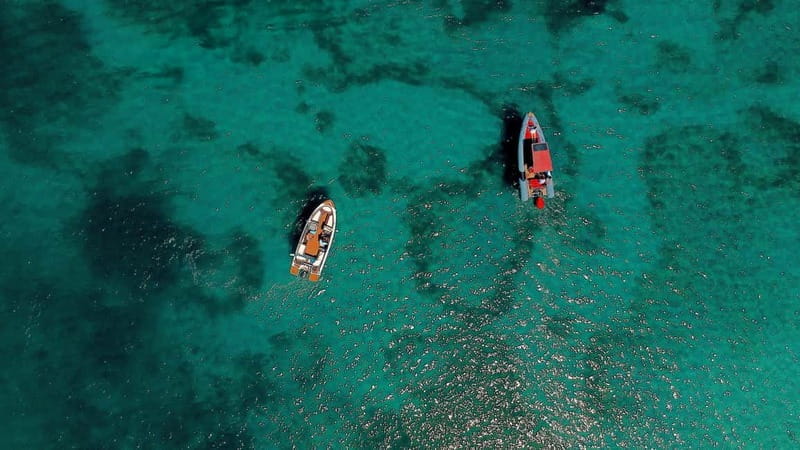 Zadar: Speedboat Tour with Snorkeling & Fruit - Exploring Croatia’s Coastline from the Water: The Full Experience