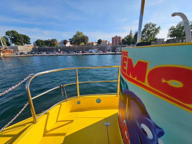 Zadar: Yellow Semi-Submarine Underwater Exploration Tour - Key Points / Takeaways