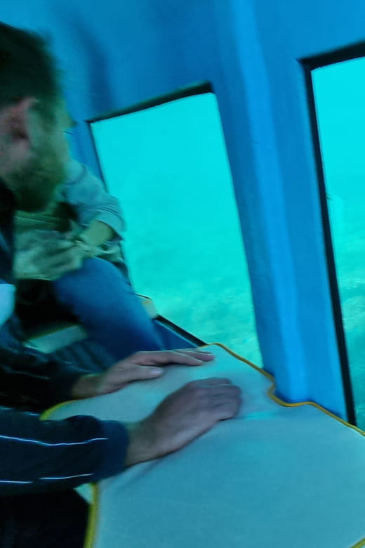 Zadar: Yellow Semi-Submarine Underwater Exploration Tour - What the Tour Looks Like: A Step-by-Step Breakdown