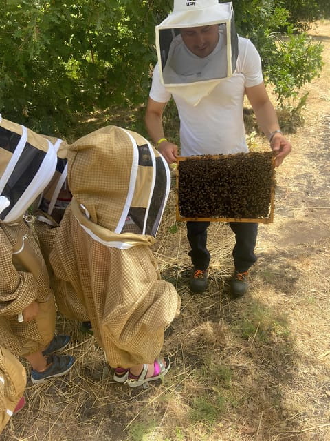 Zafferana Etnea:Honey extraction workshop and honey tasting - FAQ