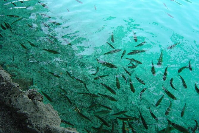 Zagreb airport or Zagreb to Split via Plitvice lakes for singles or couples - Exploring the Journey from Zagreb to Split via Plitvice Lakes