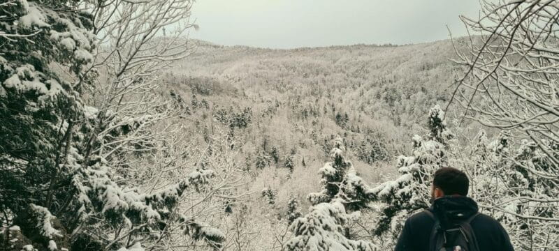 Zagreb Hike & Taste: City, Nature Park, Castle, Local Dishes - Key Points / Takeaways