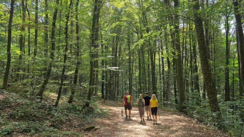 Zagreb Hike & Taste: City, Nature Park, Castle, Local Dishes - Who Will Love This Tour?