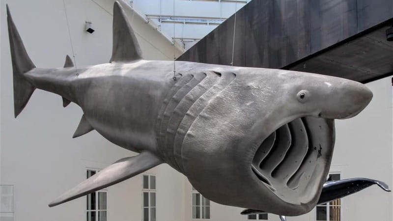 Zagreb: Science Tours - Our Universe - Key points / Takeaways