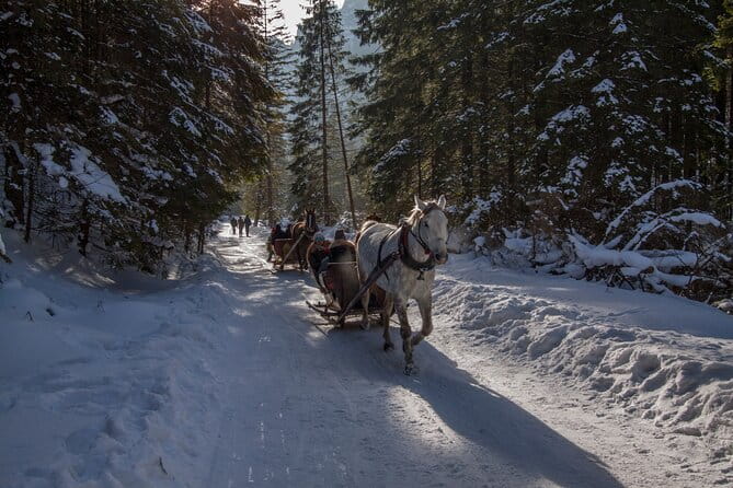 Zakopane Horse-Drawn Rides with Local Guide and Food Tasting - The Sum Up: A Cozy, Scenic Highpoint of Your Zakopane Trip