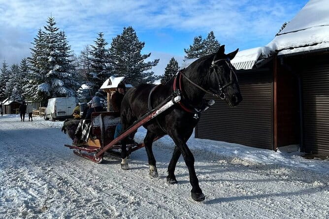 Zakopane Tour from Krakow with Thermal SPA and Hotel Pick up - Discovering Zakopane’s Charm and Scenic Highlights