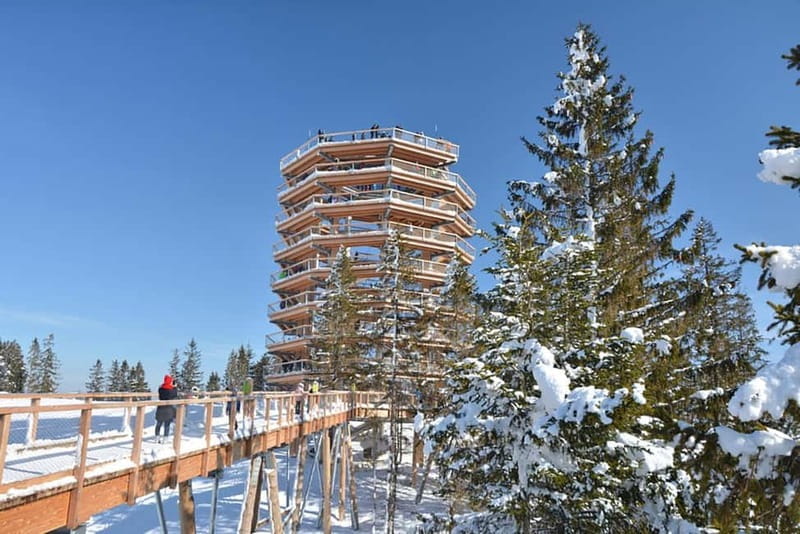 Zakopane: Treetop Walk & Niedzica Castle Private Tour - Key points / Takeaways
