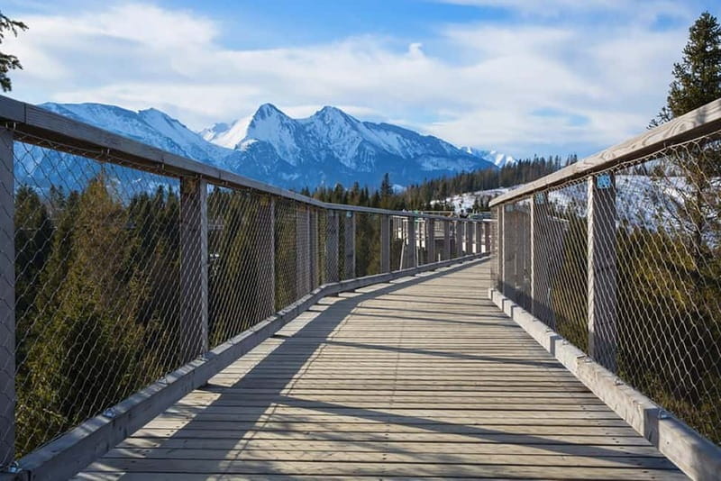 Zakopane: Treetop Walk & Niedzica Castle Private Tour - Frequently Asked Questions