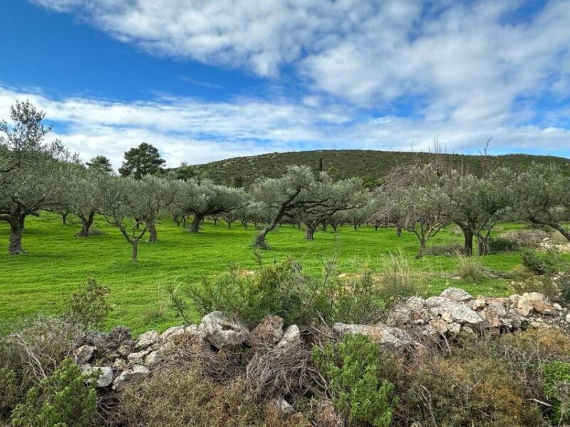 Zakynthos 4x4 Sunset Safari - Value and Practical Tips