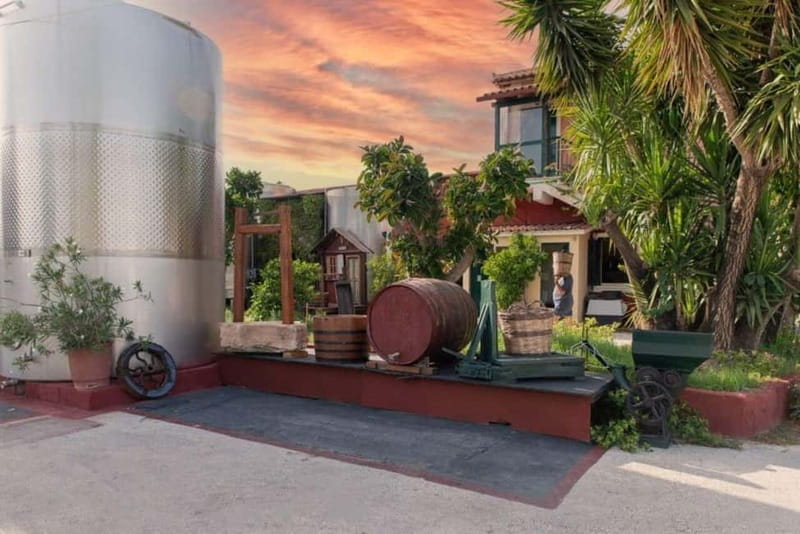 Zakynthos: Discover The Past - Who Will Love This Tour?