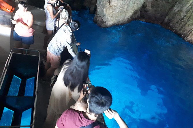Zakynthos : One Day Small Group Tour to Navagio Beach Blue Caves & Top View - Exploration of Blue Caves