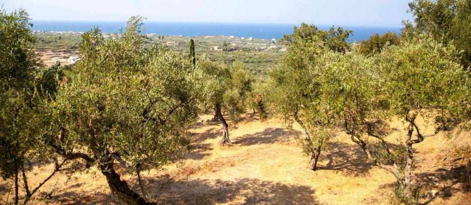 Zakynthos: Panoramic West Zakynthos Private Tour - Sightseeing and Photo Stops