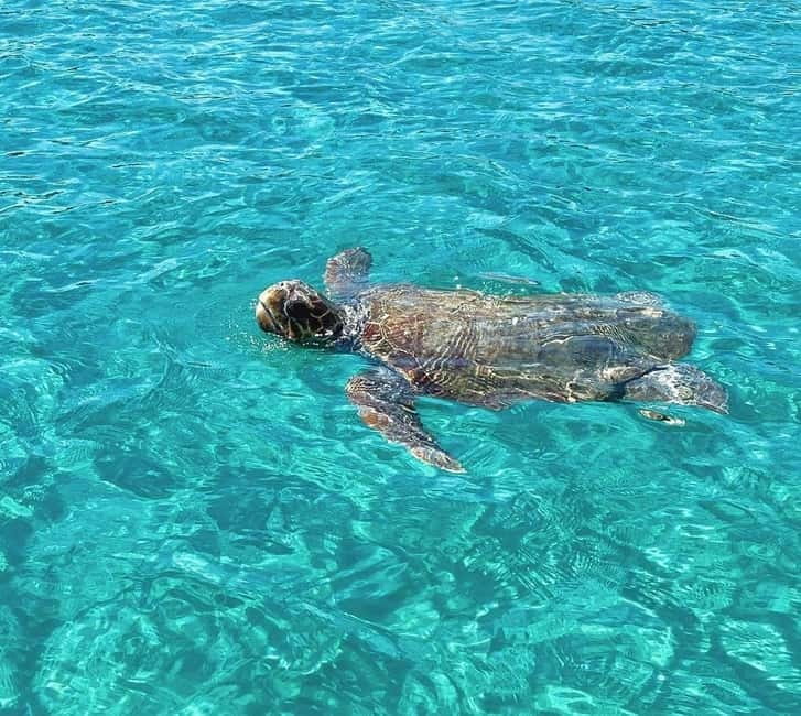 Zakynthos: Private Boat Tour with Captain - Keri Caves: A Natural Wonderland